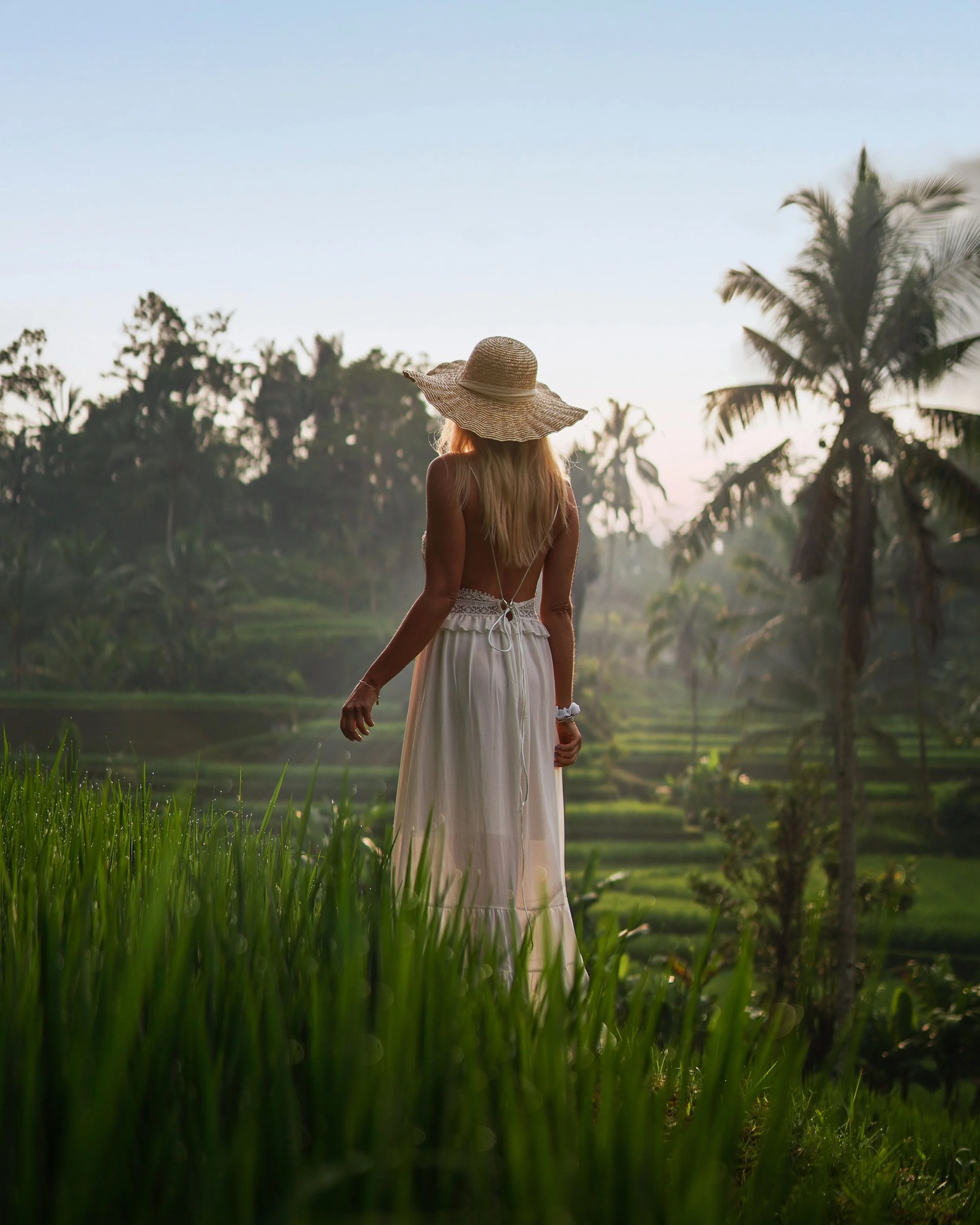 Aggie in rice field-2.jpg