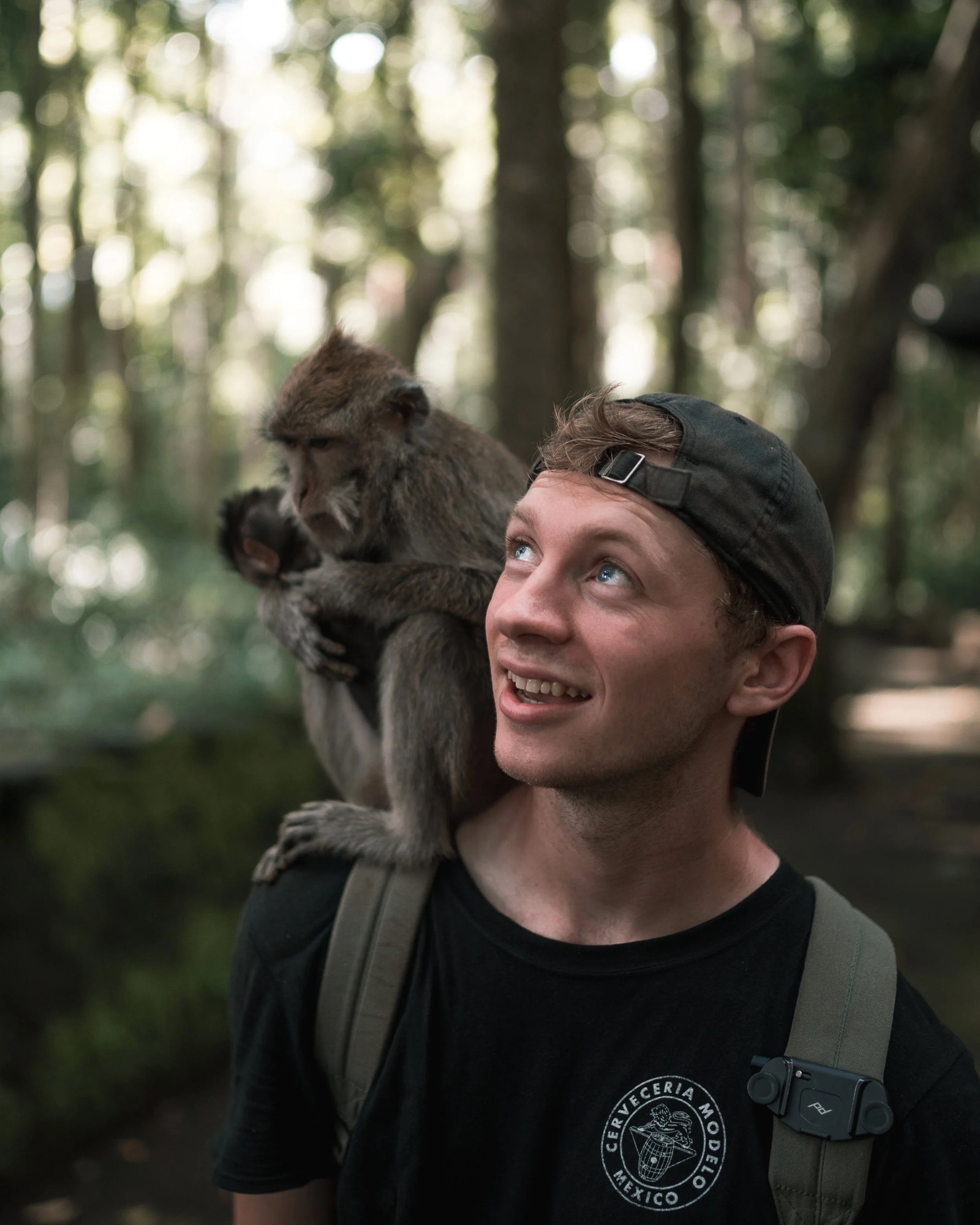 More+monkeys+and+me.jpg