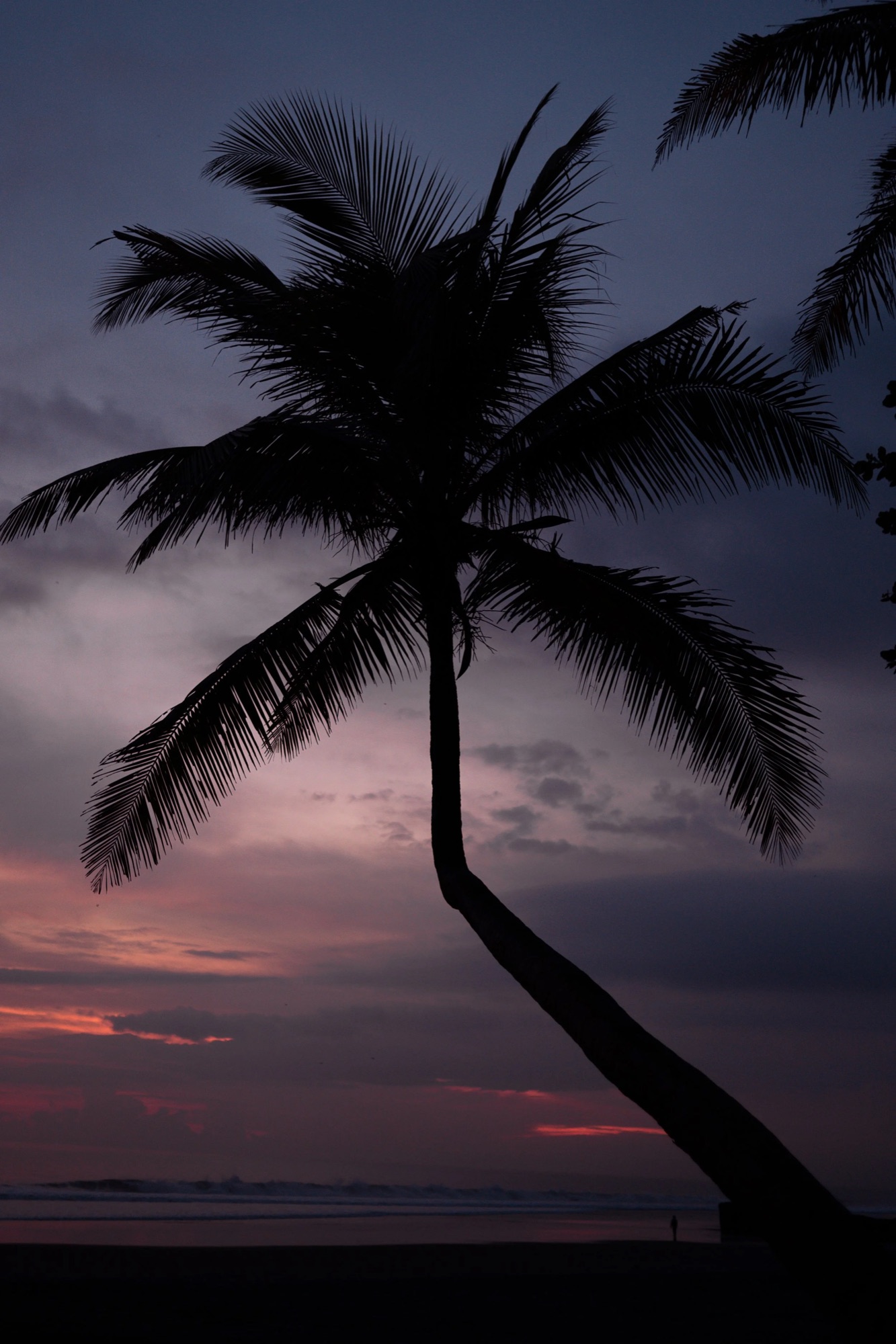 Kasey Bent Tree 9x16-5.jpg