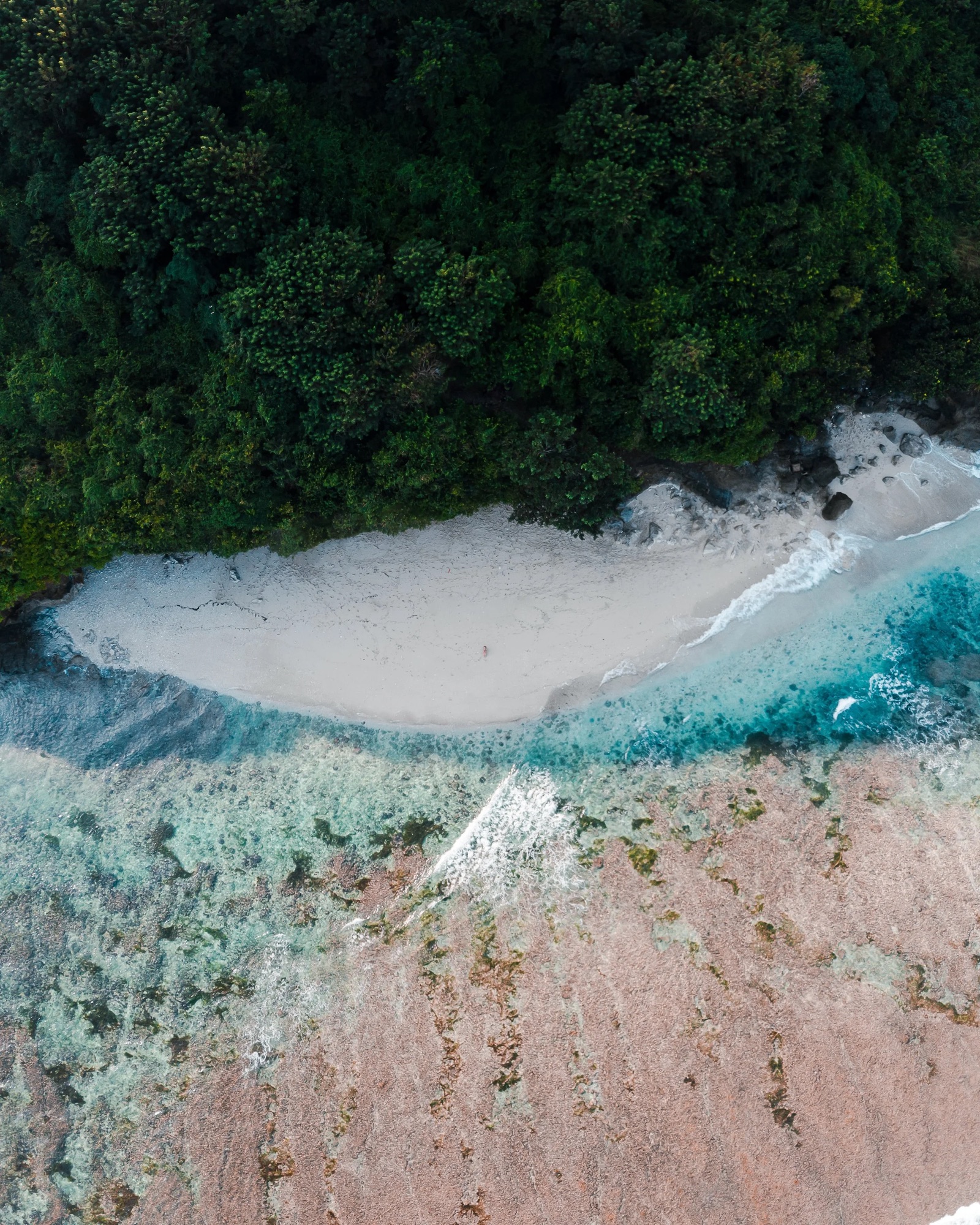 spenser-sembrat-MzkBbznxQY4-unsplash.jpg