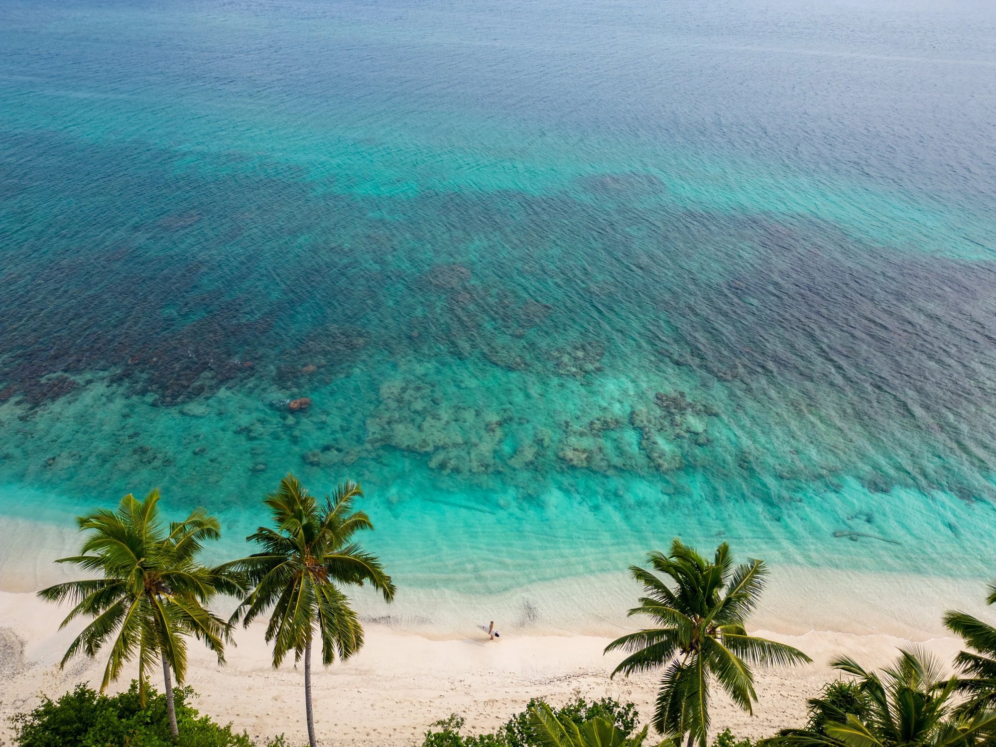 SS-DJI_0121-HDR.JPG