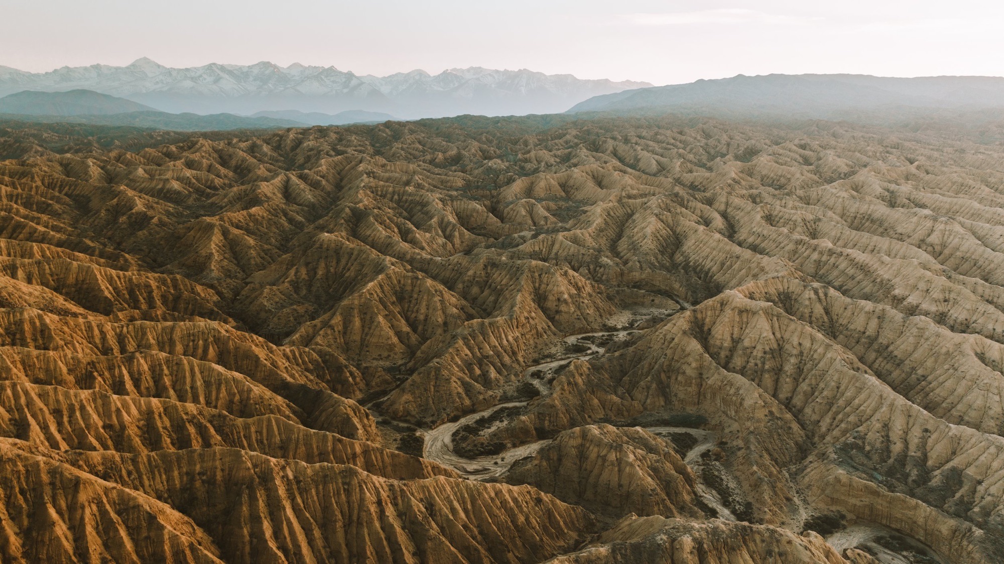 DJI_0464.jpg