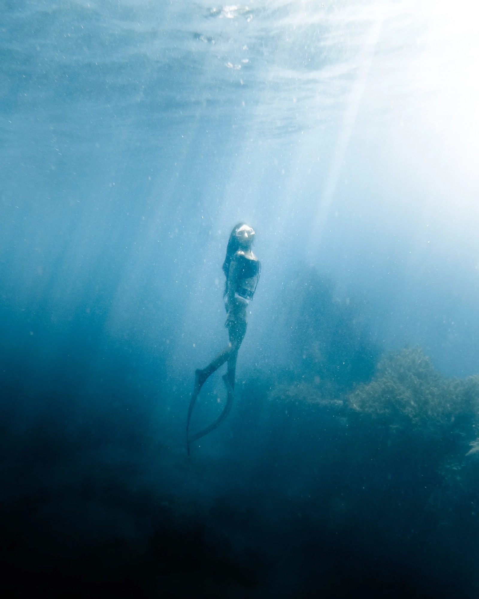 Befalia Diving4x5.jpg