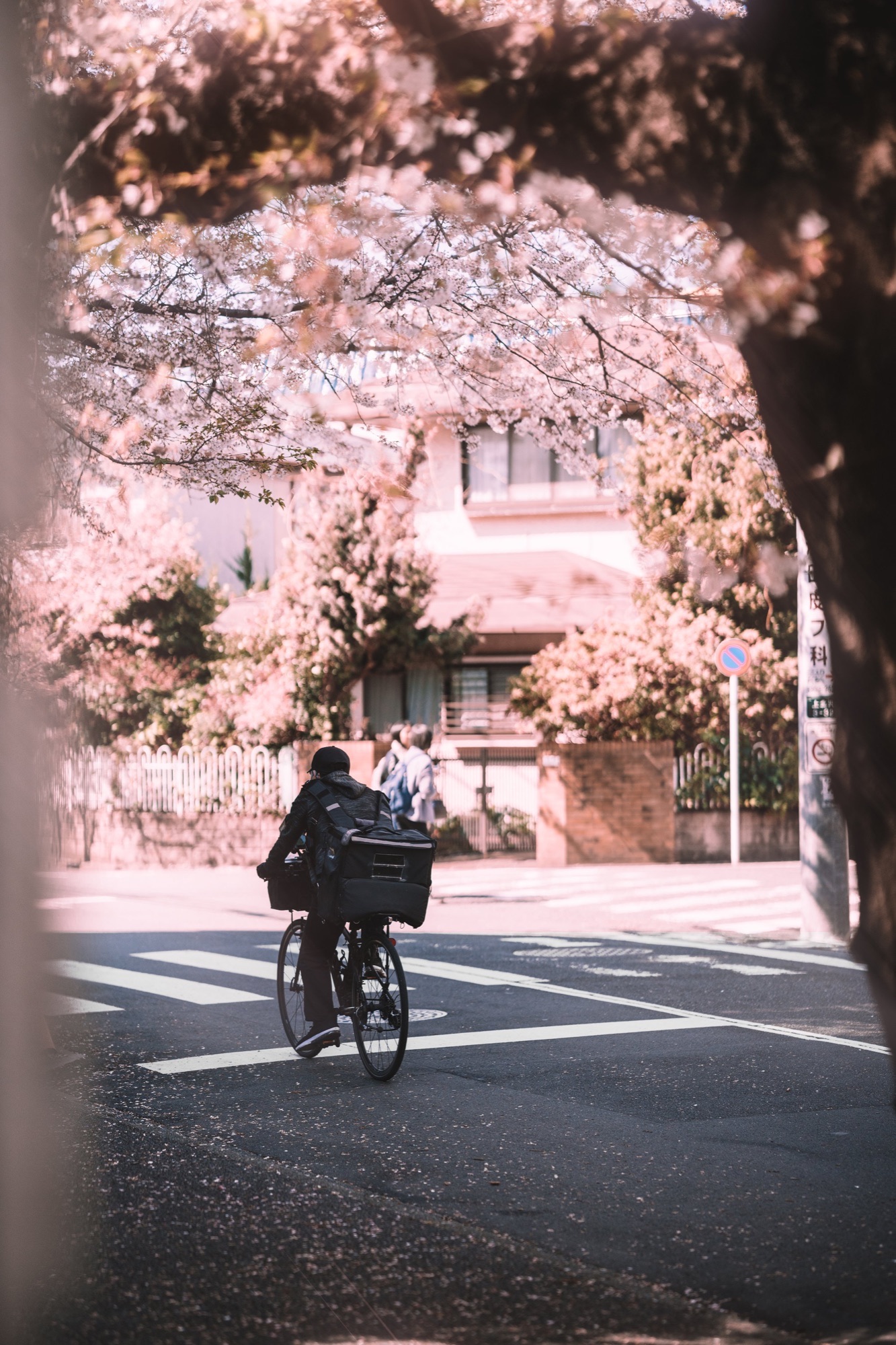 TokyoSakura2026_SSS09991-Edit.jpg