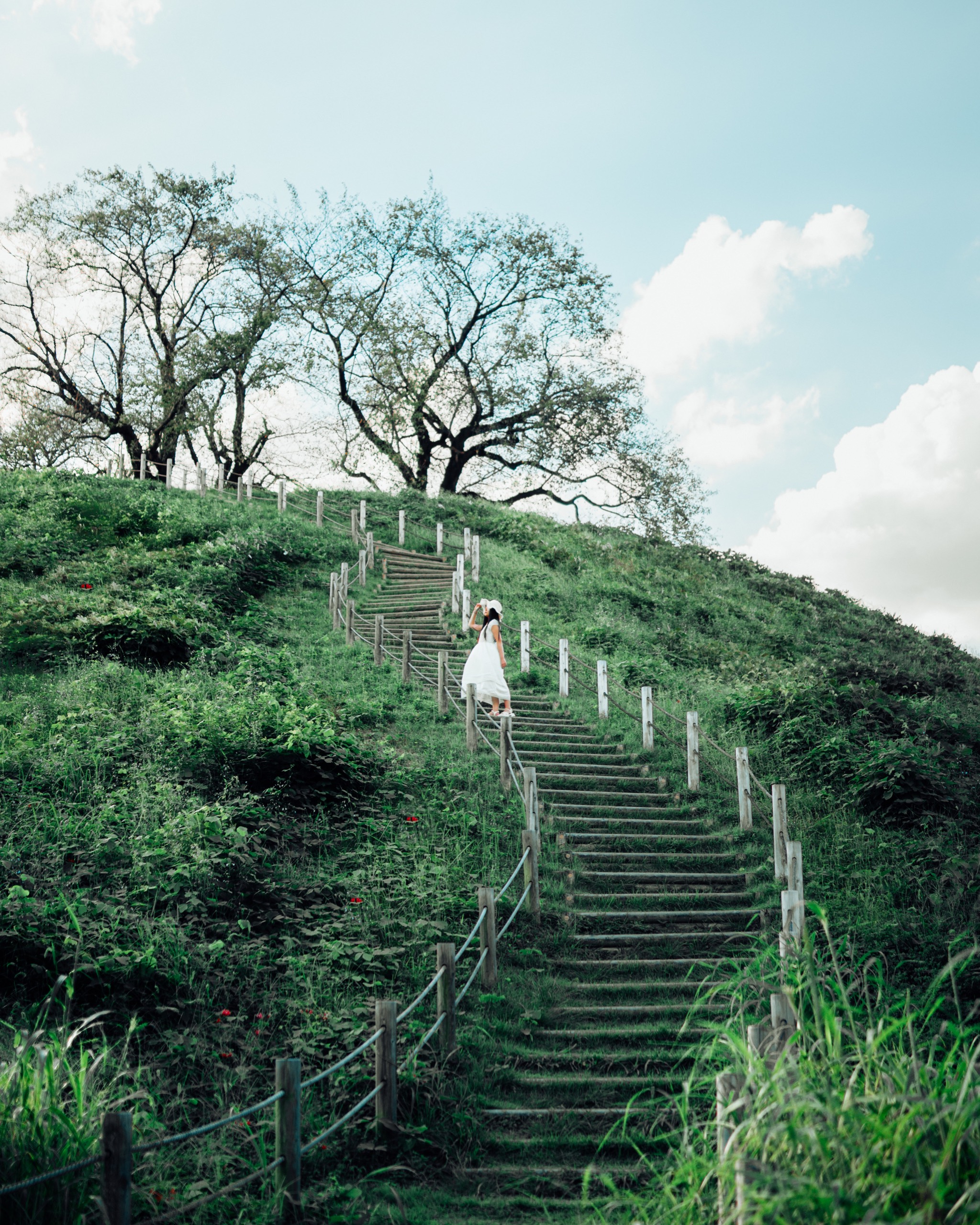 Inariyama Kofun, Japan photography by Spenser Sembrat