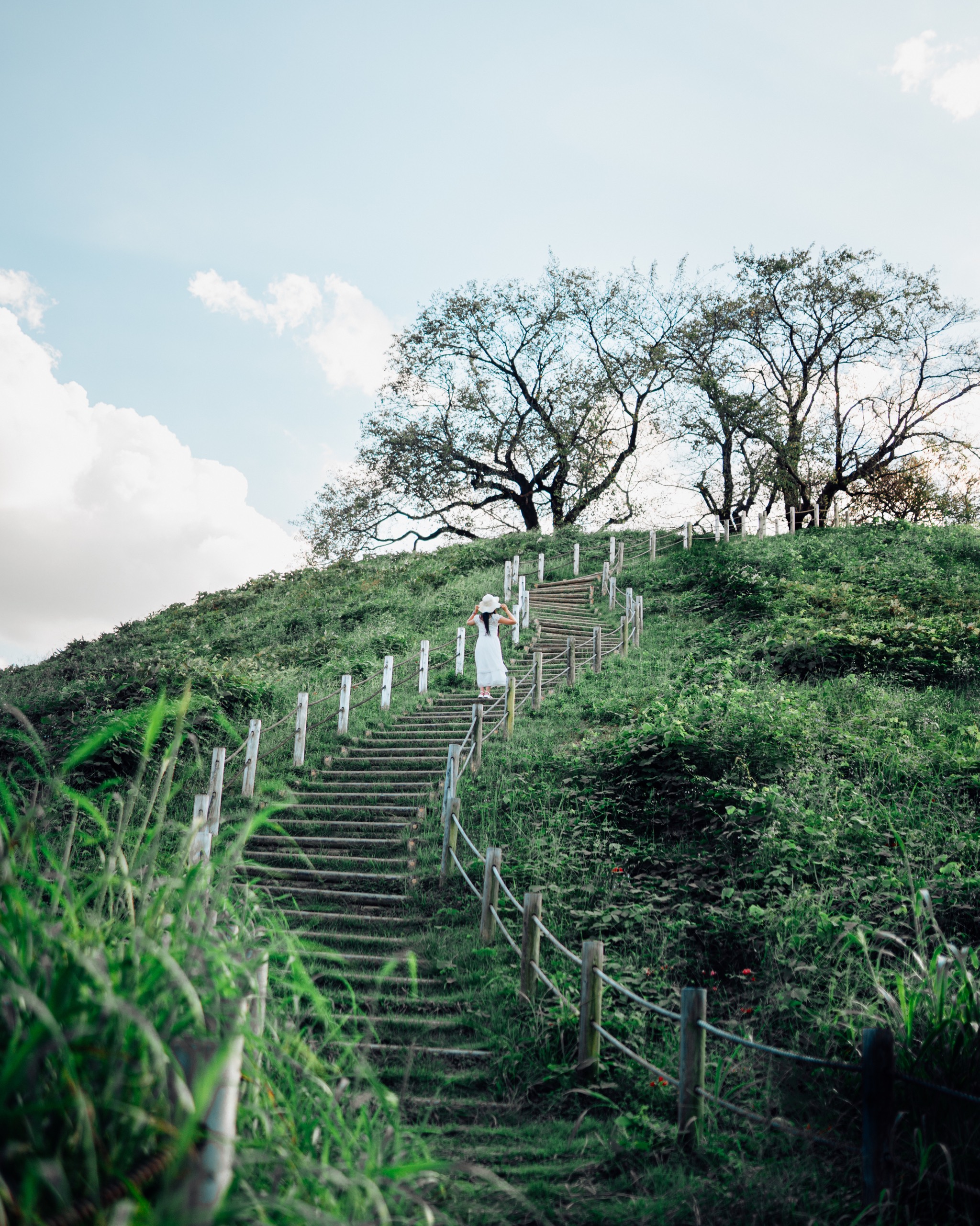 Inariyama Kofun, Japan photography by Spenser Sembrat