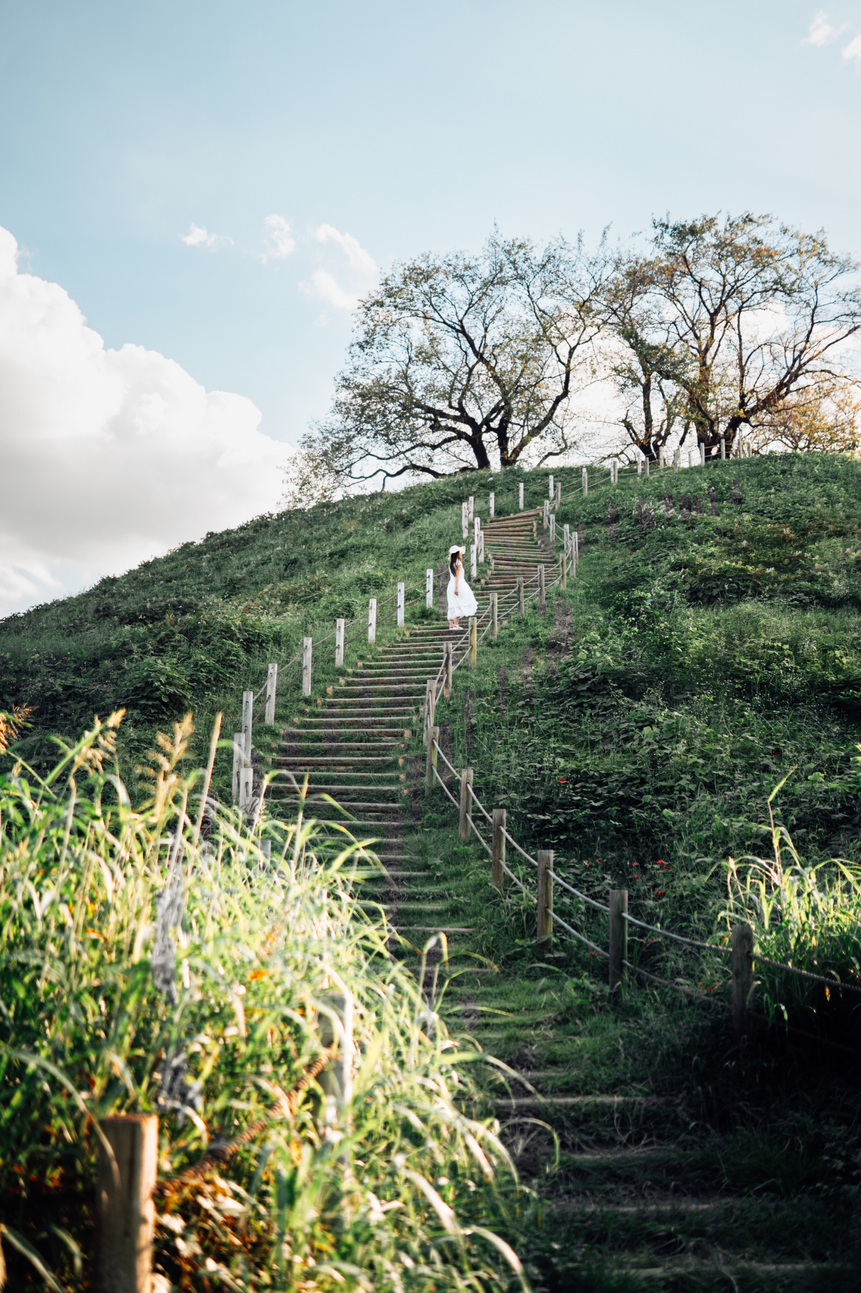 Inariyama Kofun, Japan photography by Spenser Sembrat