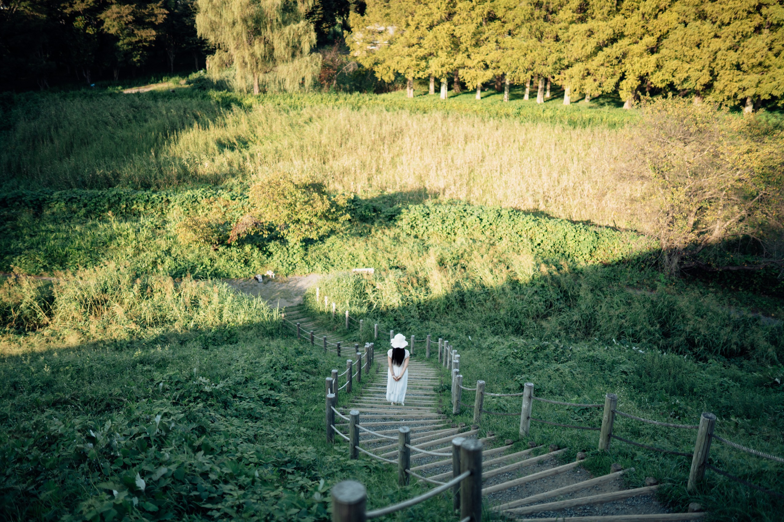 Inariyama Kofun, Japan photography by Spenser Sembrat