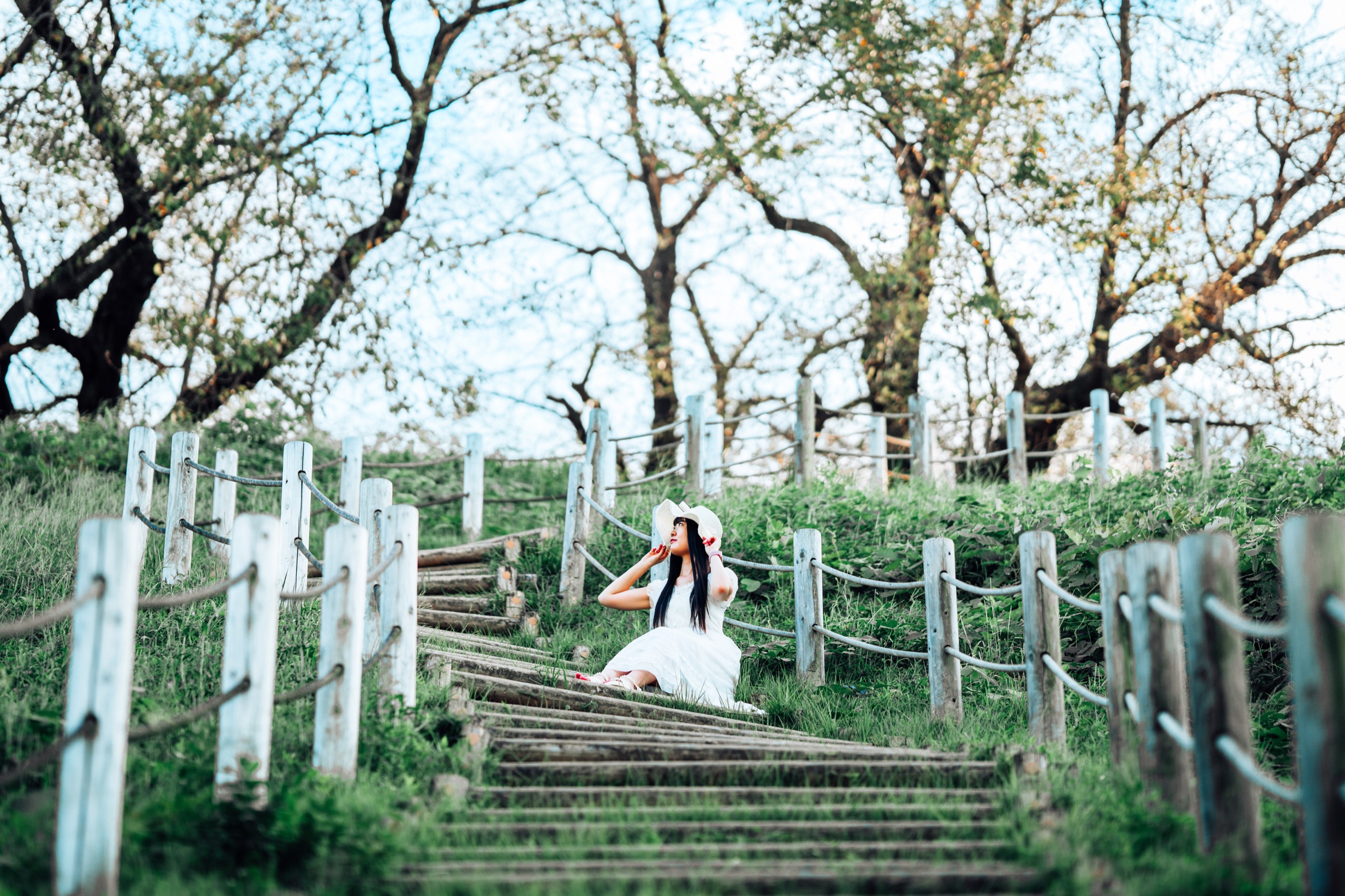 Inariyama Kofun, Japan photography by Spenser Sembrat