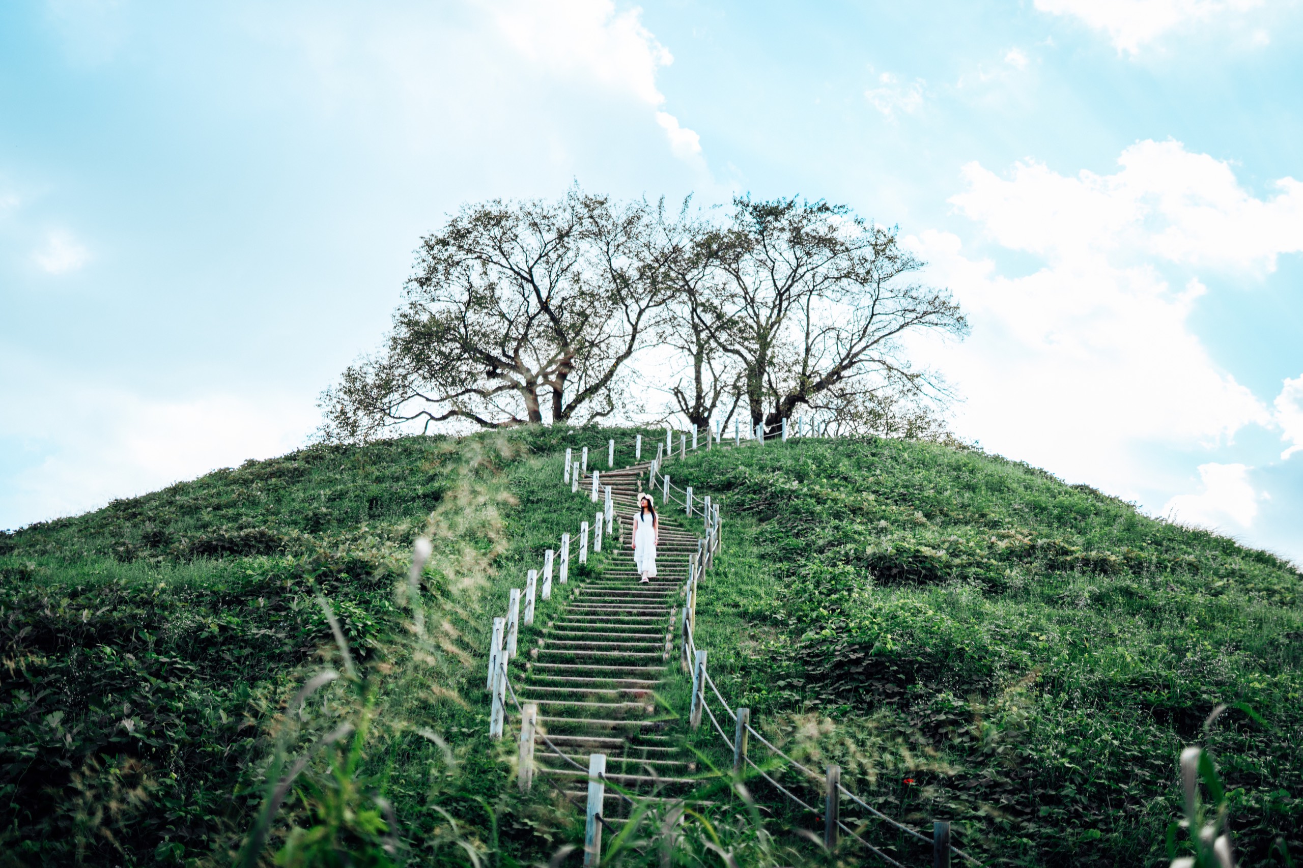 Inariyama Kofun, Japan photography by Spenser Sembrat