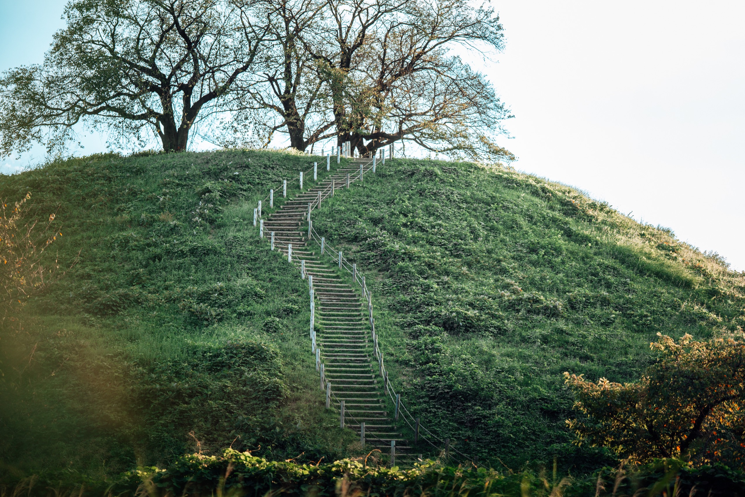 Inariyama Kofun, Japan photography by Spenser Sembrat