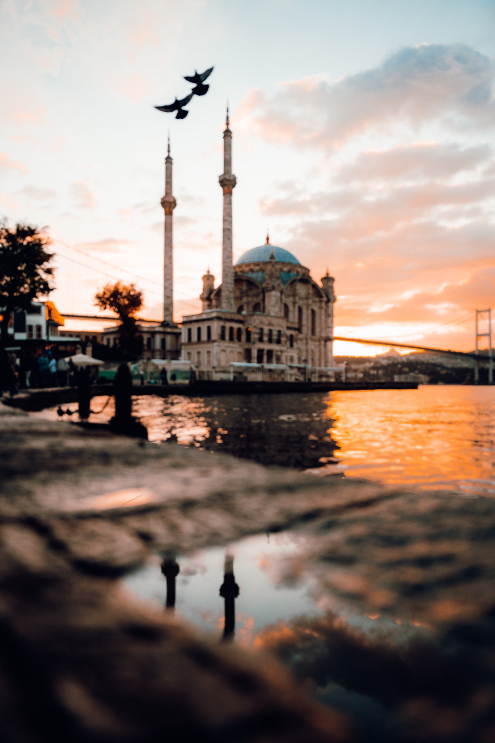 Istanbul, Türkiye photography by Spenser Sembrat