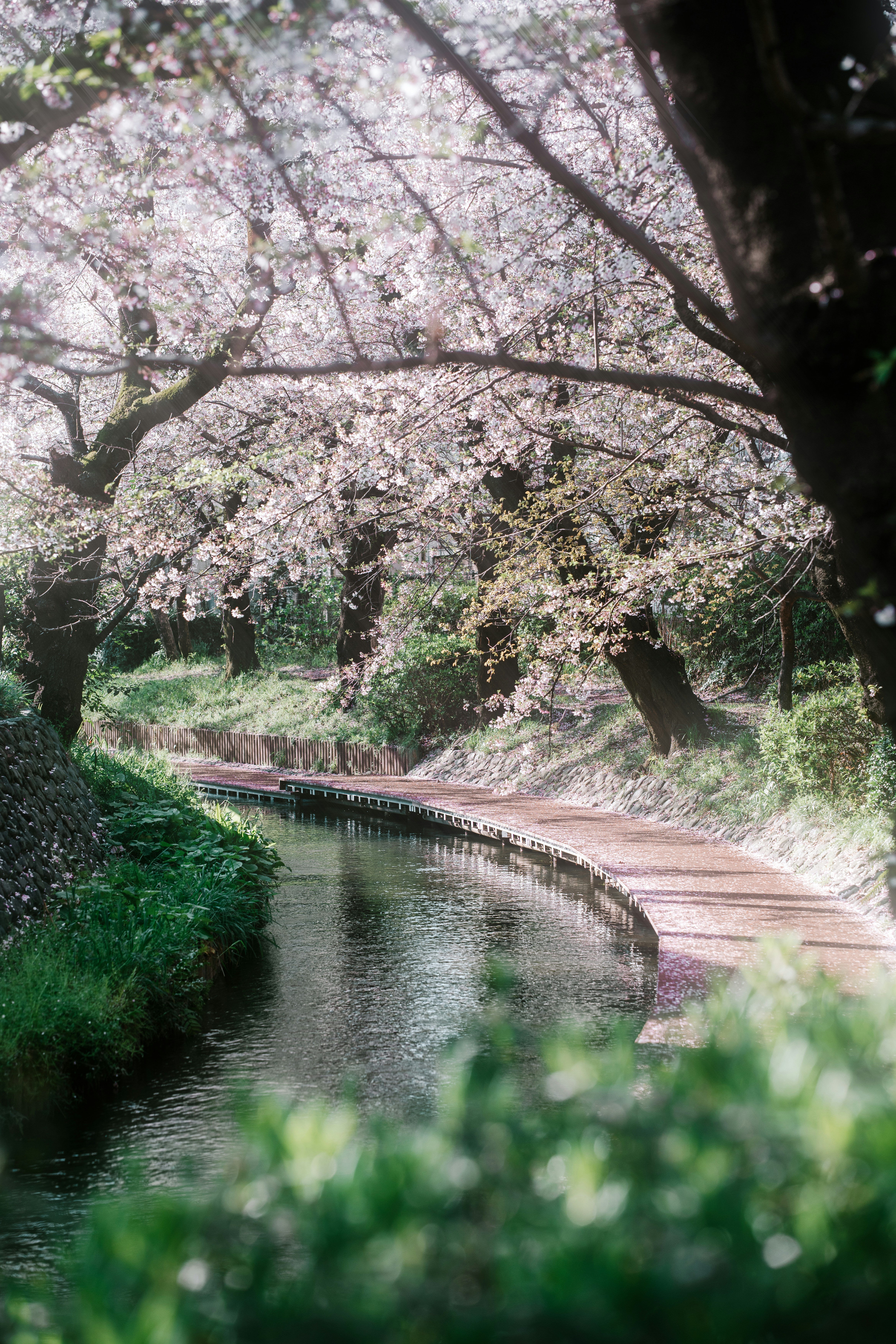 spenser-sembrat-CNstgp_23AU-unsplash