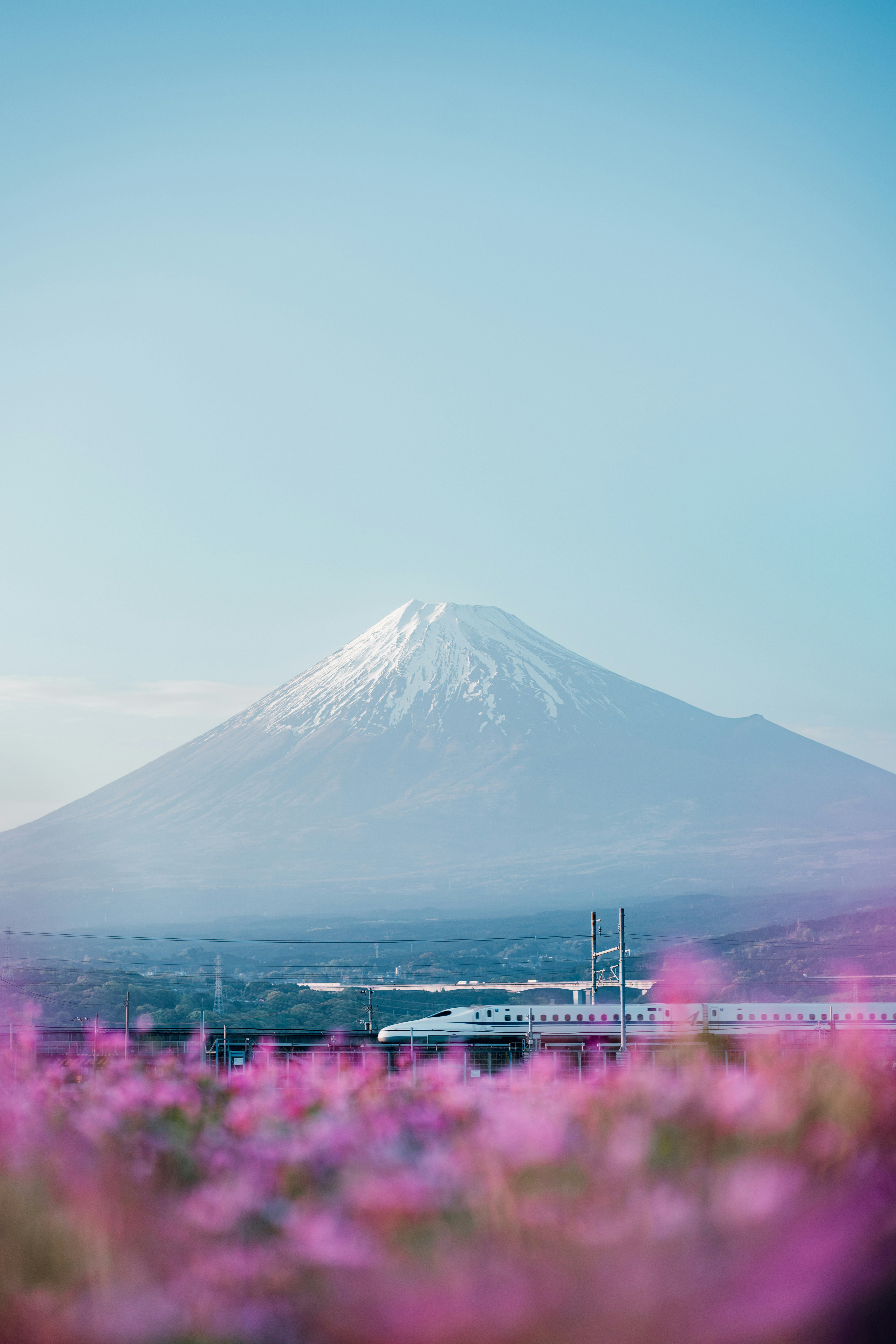 spenser-sembrat-SxhPXO18UTQ-unsplash