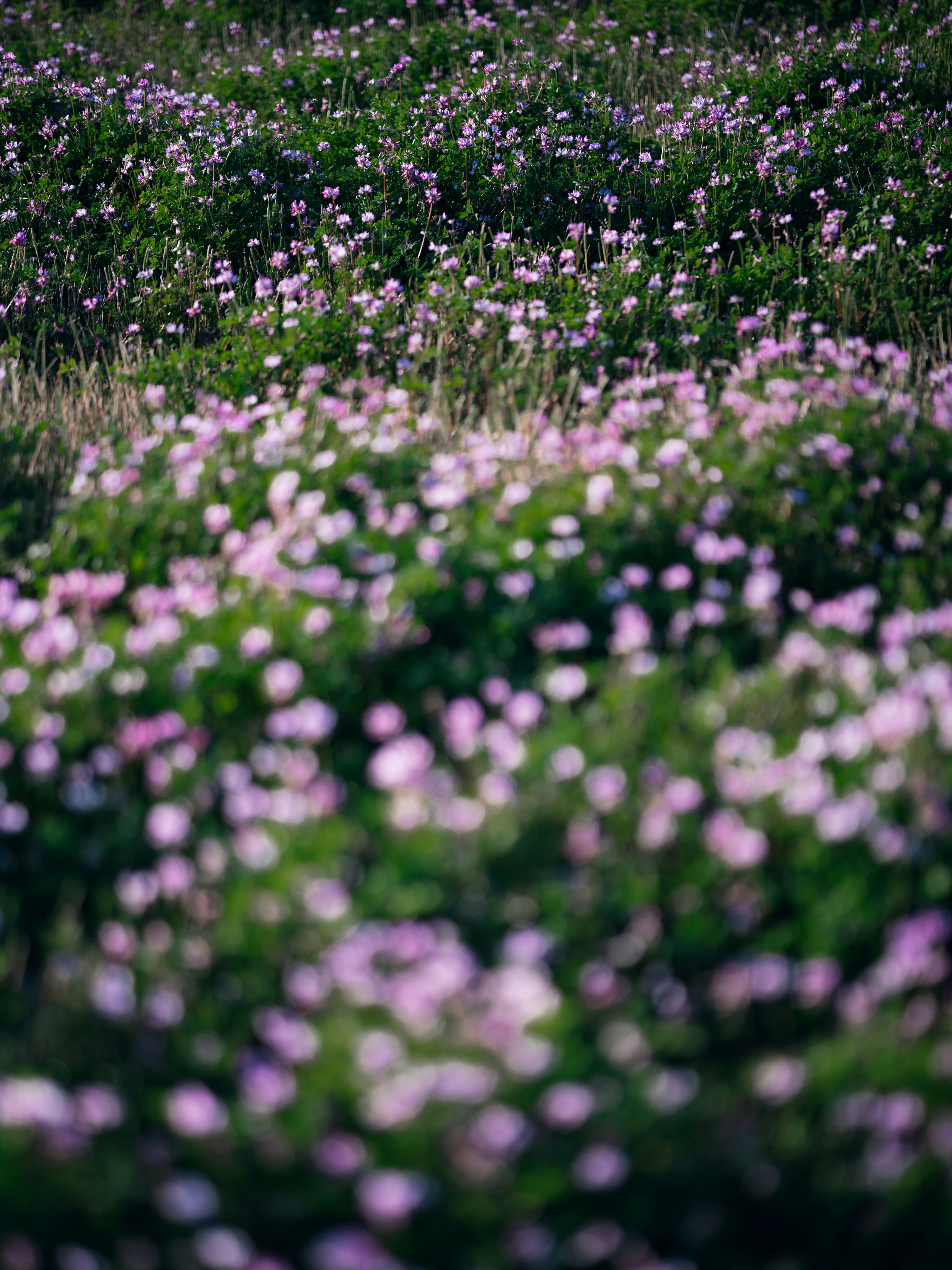 spenser-sembrat-_xkUf7w4wQw-unsplash-1