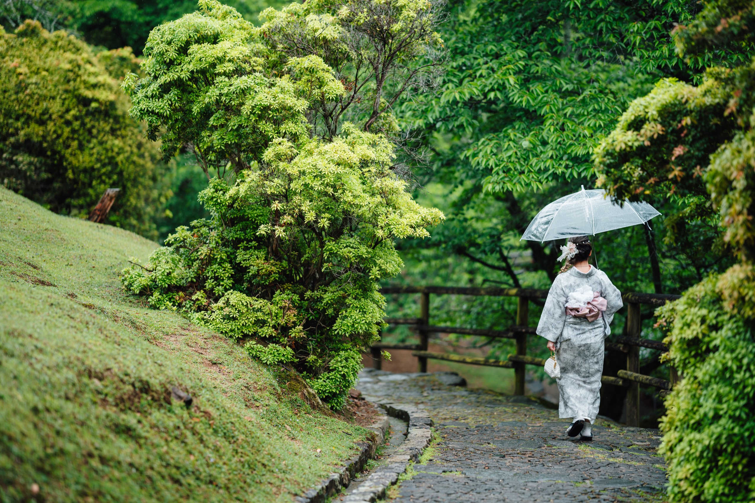 Woman in kimono with a clear umbrella on a stone garden path, Nara, Japan