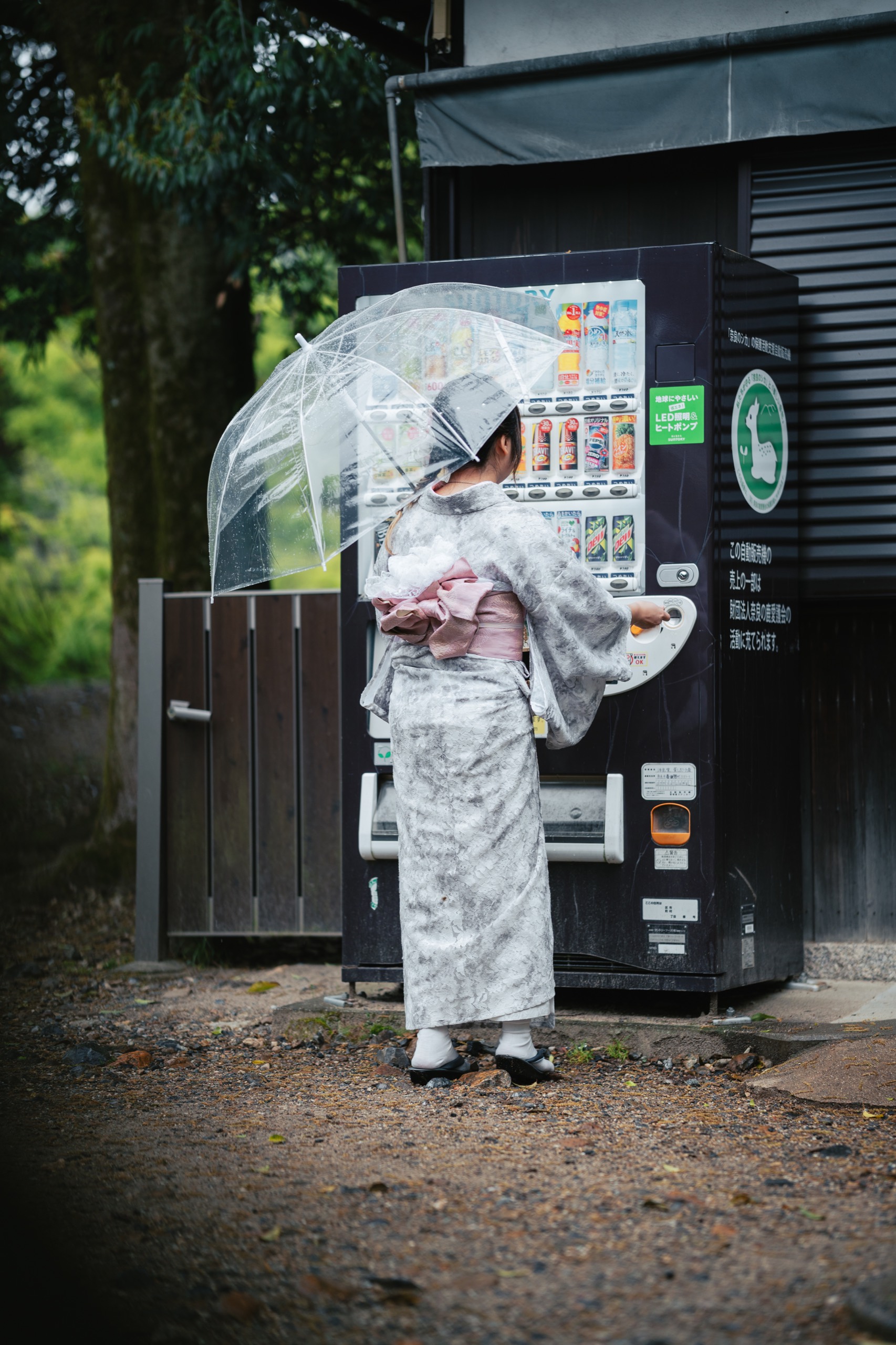Nara, Japan photography by Spenser Sembrat