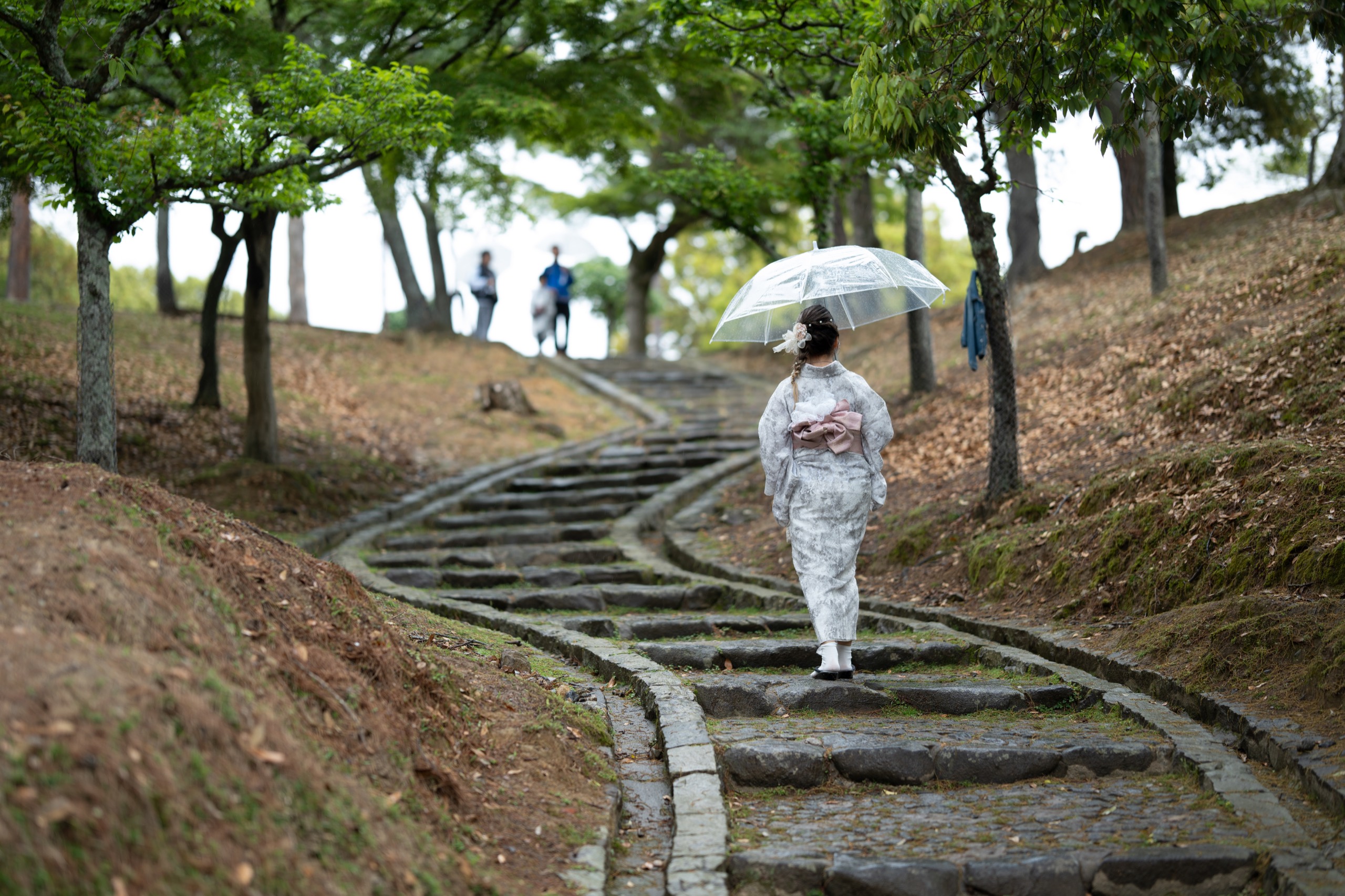 Nara, Japan photography by Spenser Sembrat