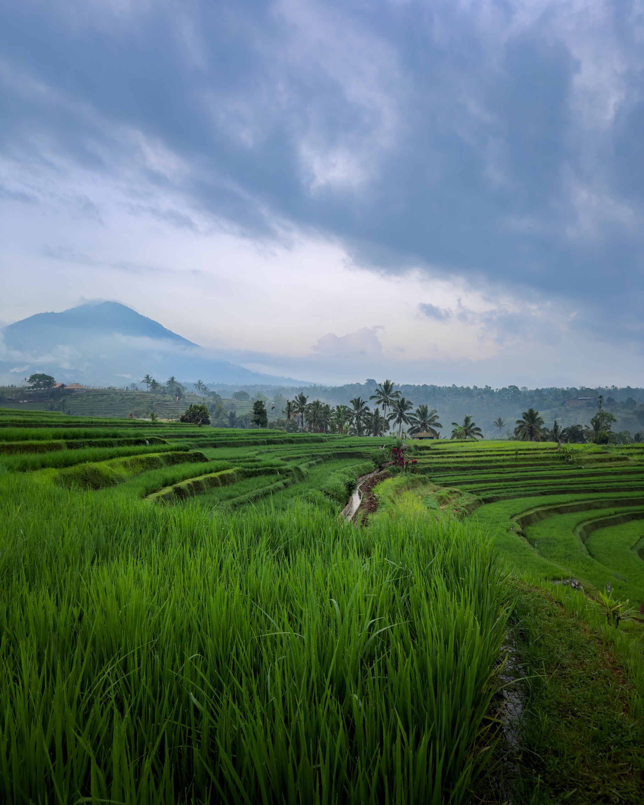 Northern Bali, Indonesia photography by Spenser Sembrat