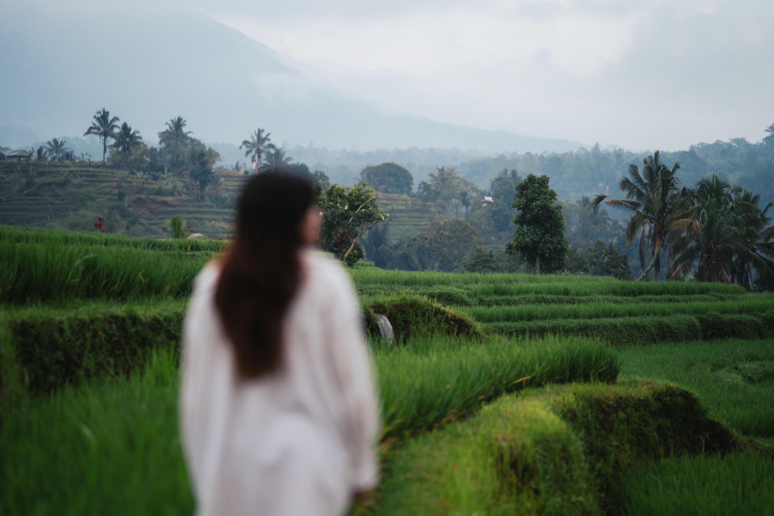 Northern Bali, Indonesia photography by Spenser Sembrat