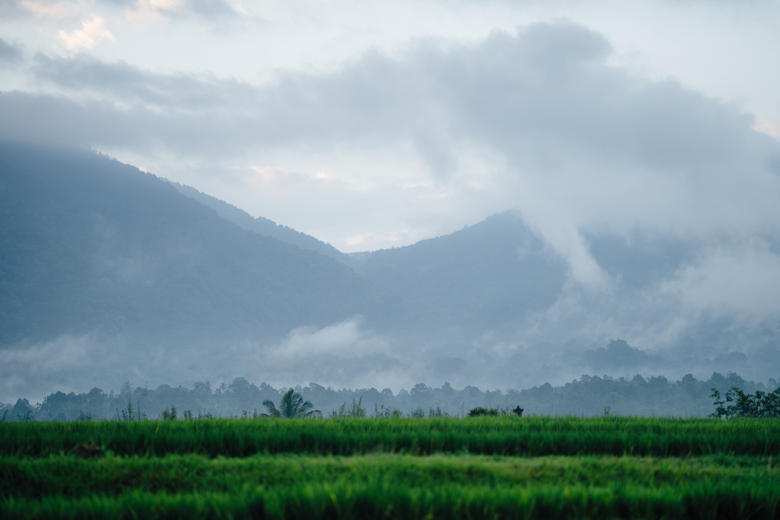 Northern Bali, Indonesia photography by Spenser Sembrat