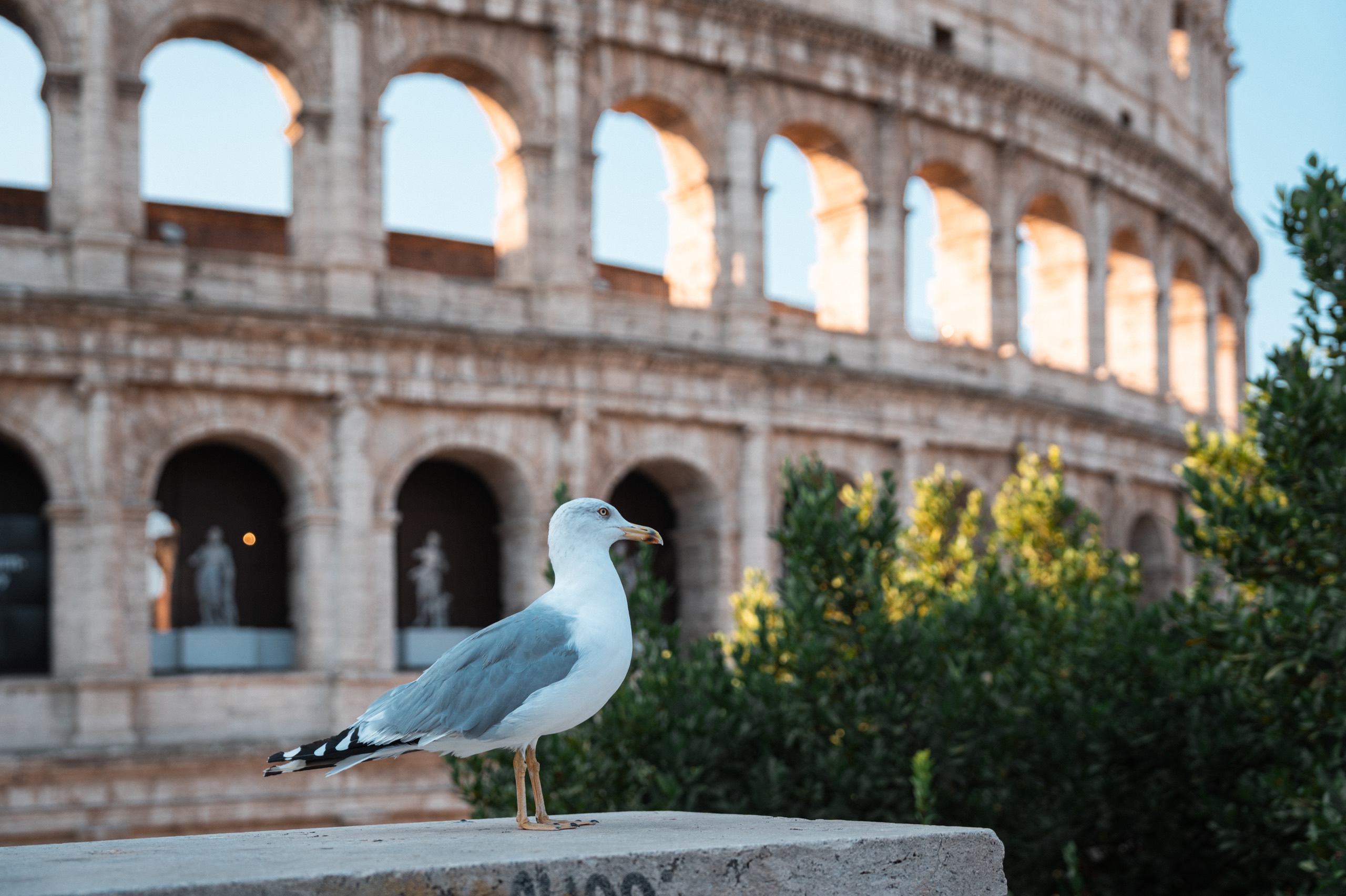 Italy photography by Spenser Sembrat