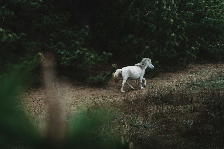 spenser-sembrat-OoeCYgEKXdY-unsplash.jpg