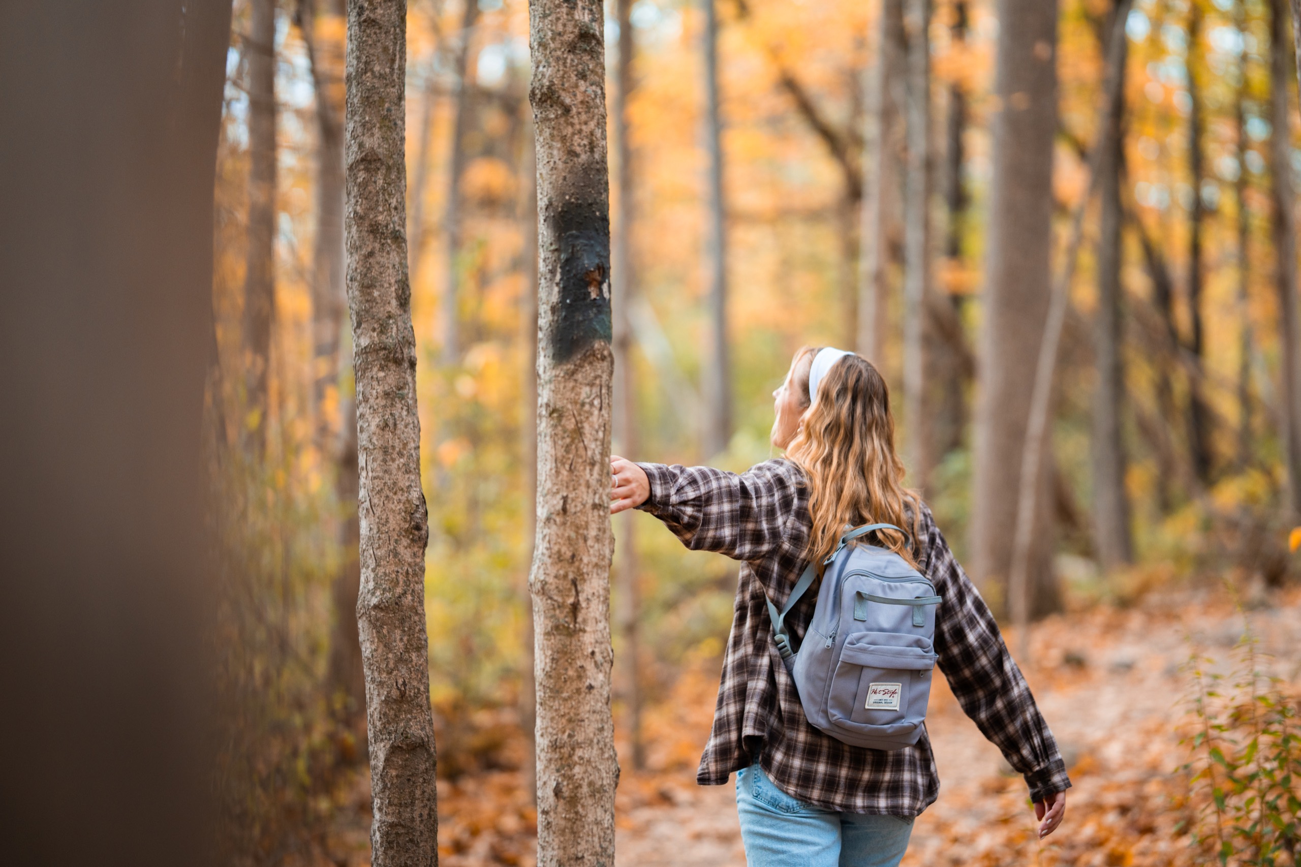 Autumn forest trail in Vernon, New Jersey